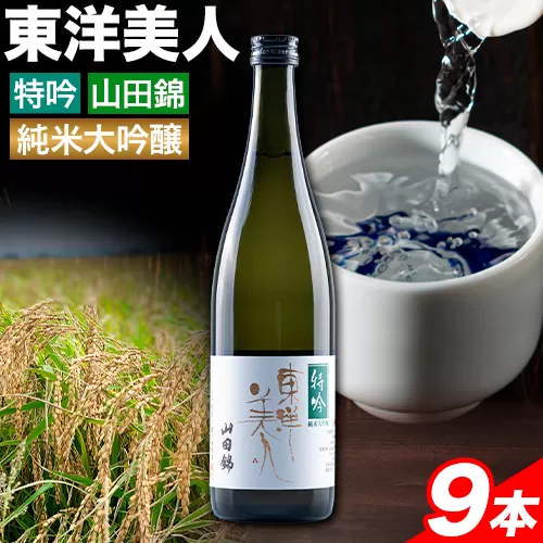 日本酒 新酒 東洋美人 特吟 山田錦 純米大吟醸 9本 計6480ml 1本あたり 720ml 福岡吟醸倶楽部株式会社《90日以内に発送予定(土日祝除く)》福岡県 鞍手郡 鞍手町 酒 熱燗 送料無料