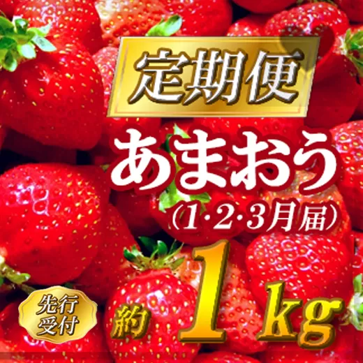 2G3【先行予約】福岡県産「あまおう」定期便３回お届け　（１月・２月・３月）