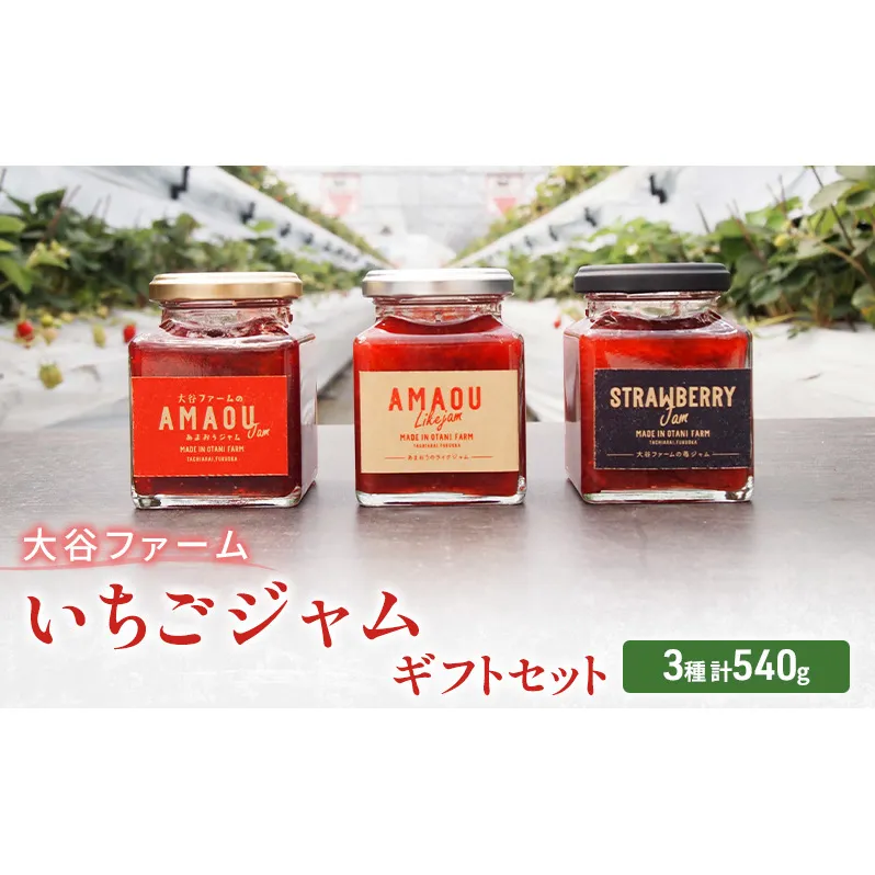ジャム 大谷ファーム いちごジャム セット 3種 計540g ギフトセット ※配送不可：離島