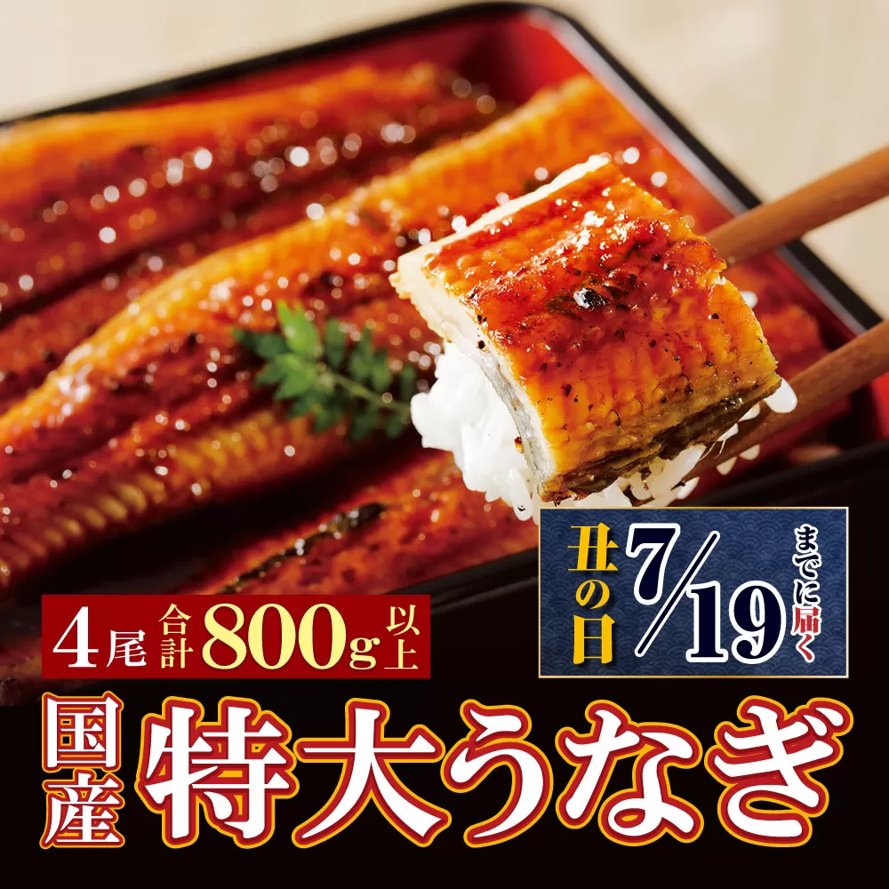 [丑の日前日までにお届け] 国産うなぎ蒲焼特大サイズ4尾(計800g以上)