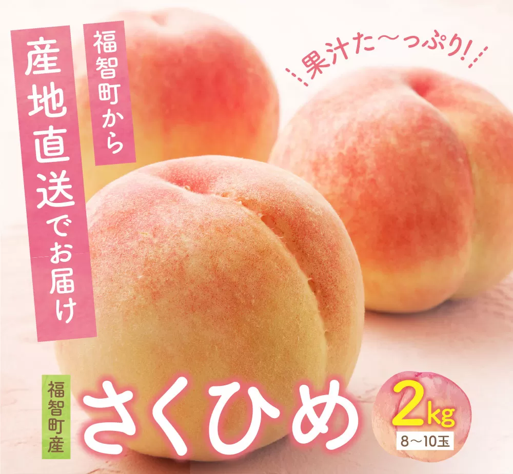 2025年発送 ハウス桃 さくひめ 約2kg 桃 もも モモ 福岡県 福智町産 さくひめ 果実 果物 くだもの フルーツ 産地直送 先行予約 送料無料 《 予約受付 》