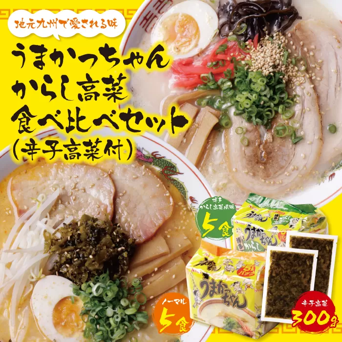 【9月30日で受付終了】 うまかっちゃん 博多からし高菜風味食べ比べセット（5食×2）計10食＋辛子高菜300g付 