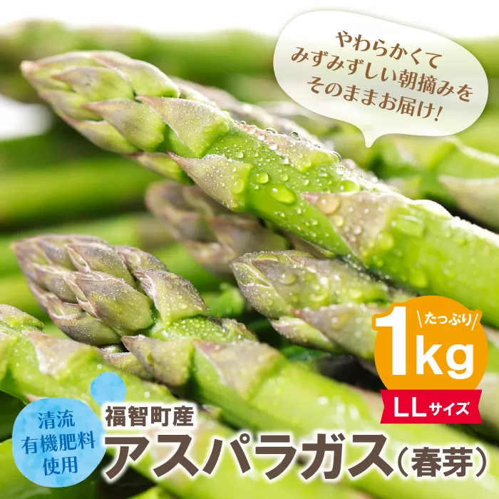 清流・自然栽培 アスパラガス(春芽) 1kg(LL)