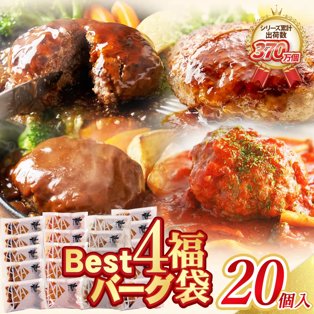 Best4バーグ ハンバーグ 20個セット（合挽4種 各5個）