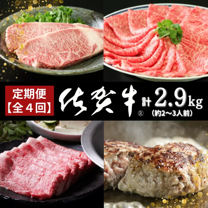 【定期便4回】佐賀牛セット 2.9kg（約2～3人前）：B985-003