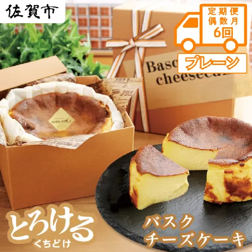 【定期便 偶数月6回】バスクチーズケーキ：B470-002