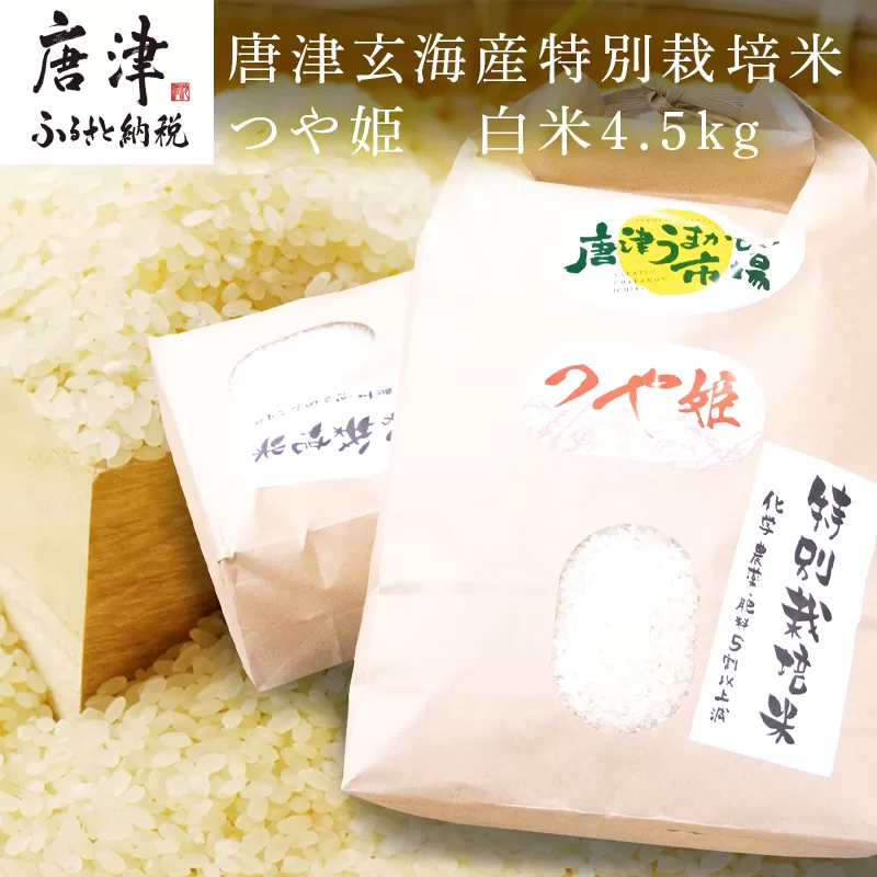 『先行予約』【令和6年産】唐津玄海産特別栽培米つや姫 白米4.5kg 粘りと柔らかさのバランスが良いお米 ギフト ごはん