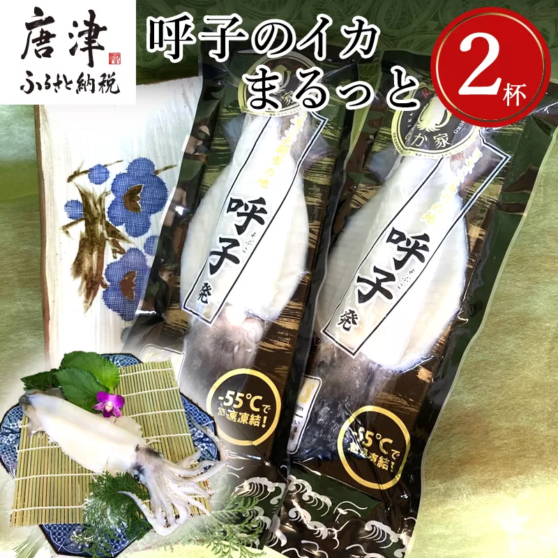 呼子のイカまるっと2杯 瞬間冷凍の旨さを呼子発でお届け 海鮮 スルメイカ 新鮮松いか「2024年 令和6年」