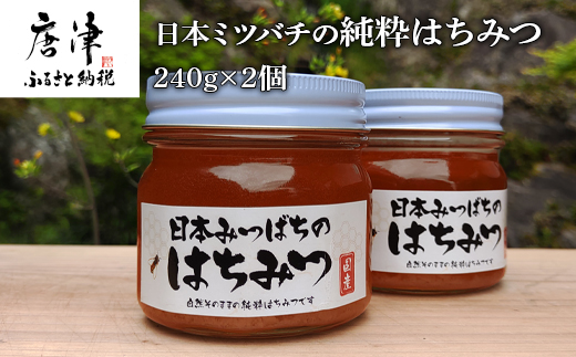 日本ミツバチの純粋はちみつ 240g×2個 (合計480g) 瓶 自然 蜜「2024年 令和6年」｜唐津市｜佐賀県｜返礼品をさがす｜まいふる by  AEON CARD