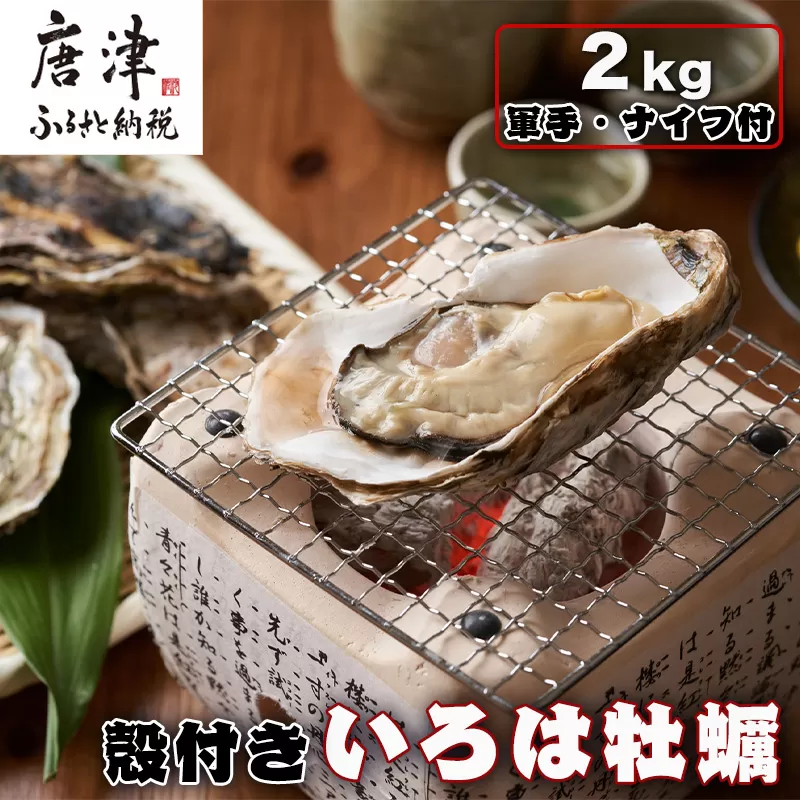 『先行予約』【12月中旬より順次発送】唐津産 殻付きいろは牡蠣 2kg(軍手・ナイフ付)期間限定 産地直送 殻付き 牡蠣 カキ 殻付き牡蠣 佐賀県 海鮮 BBQ 加熱用 お取り寄せ 贈り物 冬ギフト ギフト