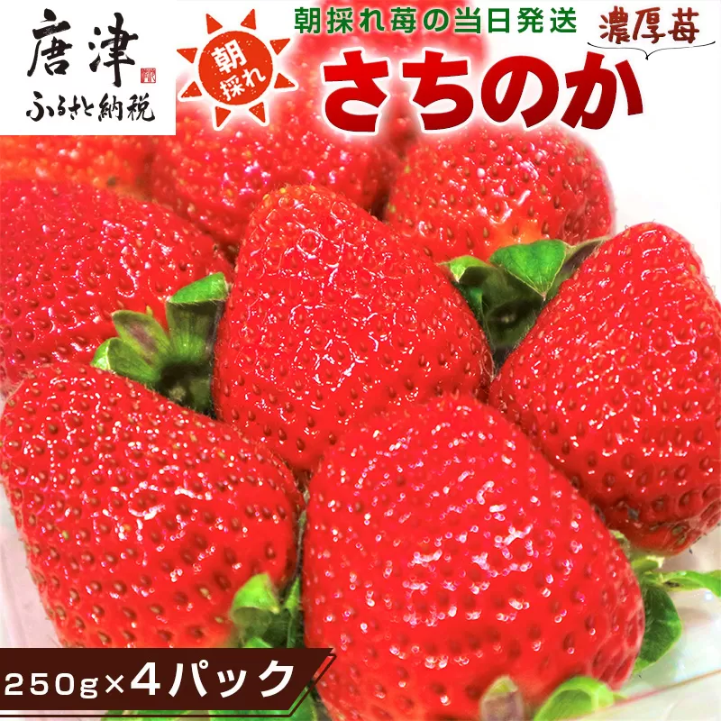 『先行予約』【令和7年3月より順次発送】濃厚苺 さちのか 250g×4パック(合計1kg) 濃厚いちご 苺 イチゴ 果物 フルーツ ビタミン