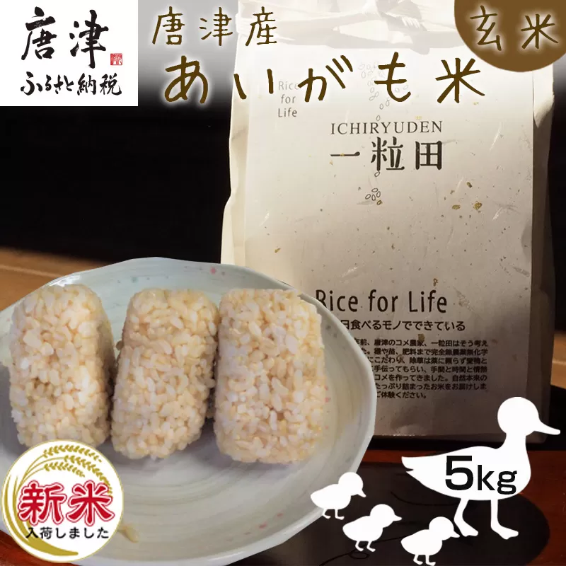 【令和6年産新米】唐津産 あいがも米 5kg (玄米) 一粒田 合鴨農法 無農薬 無化学肥料 コメ お米 ごはん