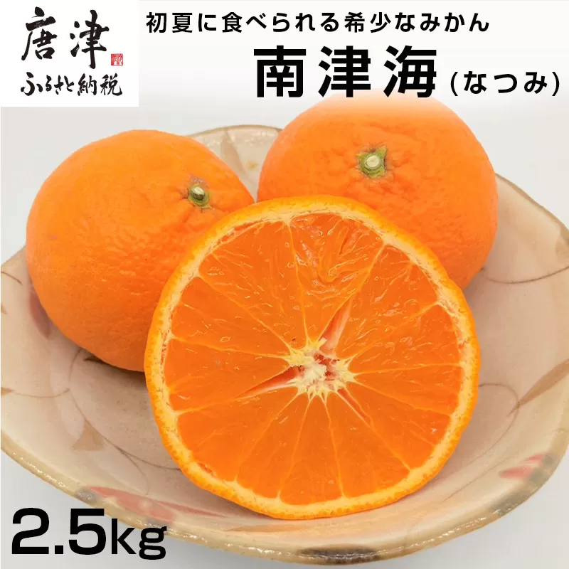 『予約受付』【令和7年4月上旬発送】南津海(なつみ) ハウス栽培 唐津産 2.5kg みかん ミカン 果物 フルーツ 柑橘