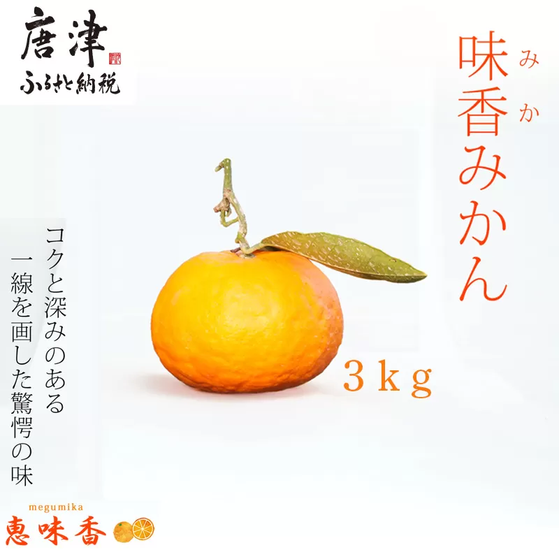 『先行予約』【令和7年2月上旬発送】果皮も丸ごとガブッ！味香みかん 3kg 新種のミカン フルーツ 果物 デザート 柑橘