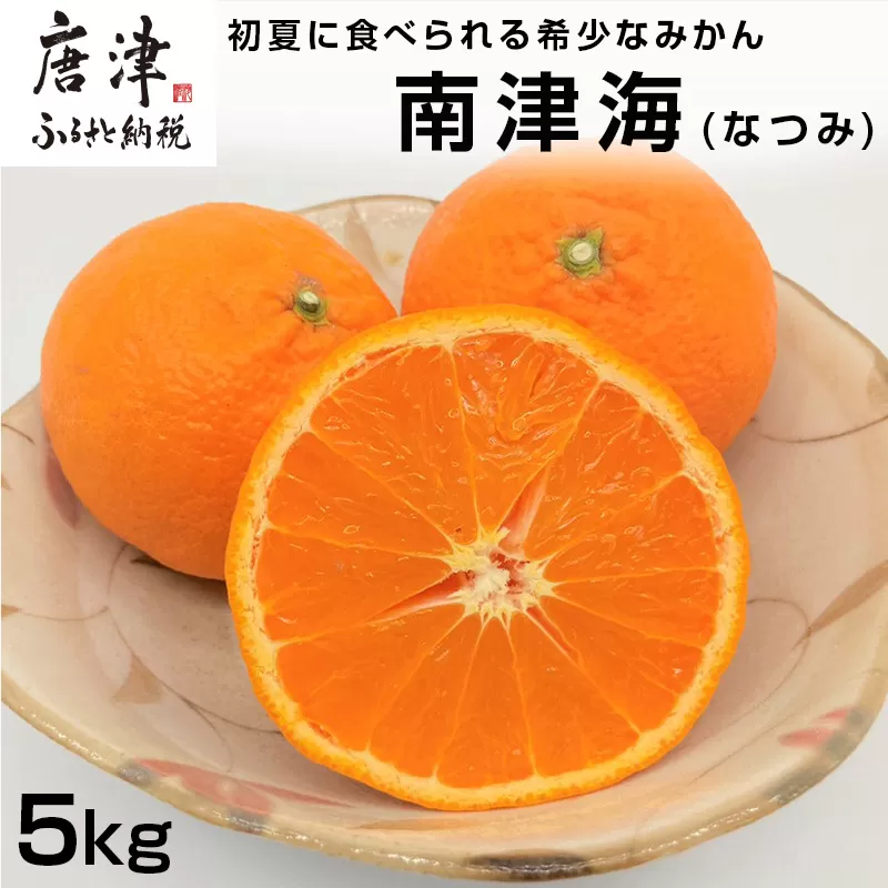 『予約受付』【令和7年4月上旬発送】南津海(なつみ) ハウス栽培 唐津産 5kg みかん ミカン 果物 フルーツ 柑橘