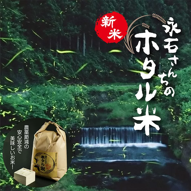 z-60 【 令和６年産 新米 予約 】 永石さんちのホタル米 さがびより 5kg×2袋