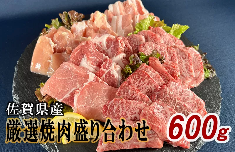 佐賀県産厳選5種焼肉盛り合わせ　600ｇ（2〜3人前） J1048