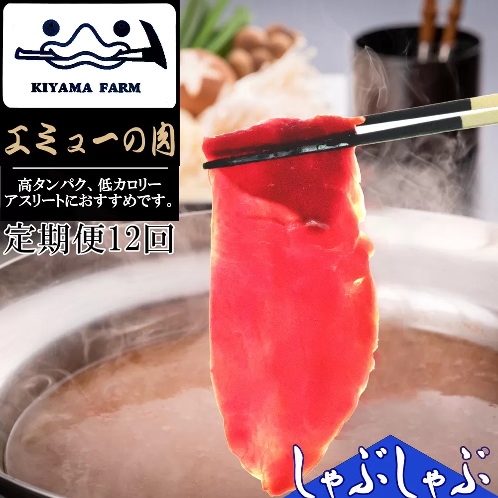 【12か月定期便】エミュー肉 しゃぶしゃぶ用【エミュー 基山産 高タンパク 高鉄分 低カロリー ヘルシー ジビエ しゃぶしゃぶ 貴重肉 鉄分補給】JE6-E006311