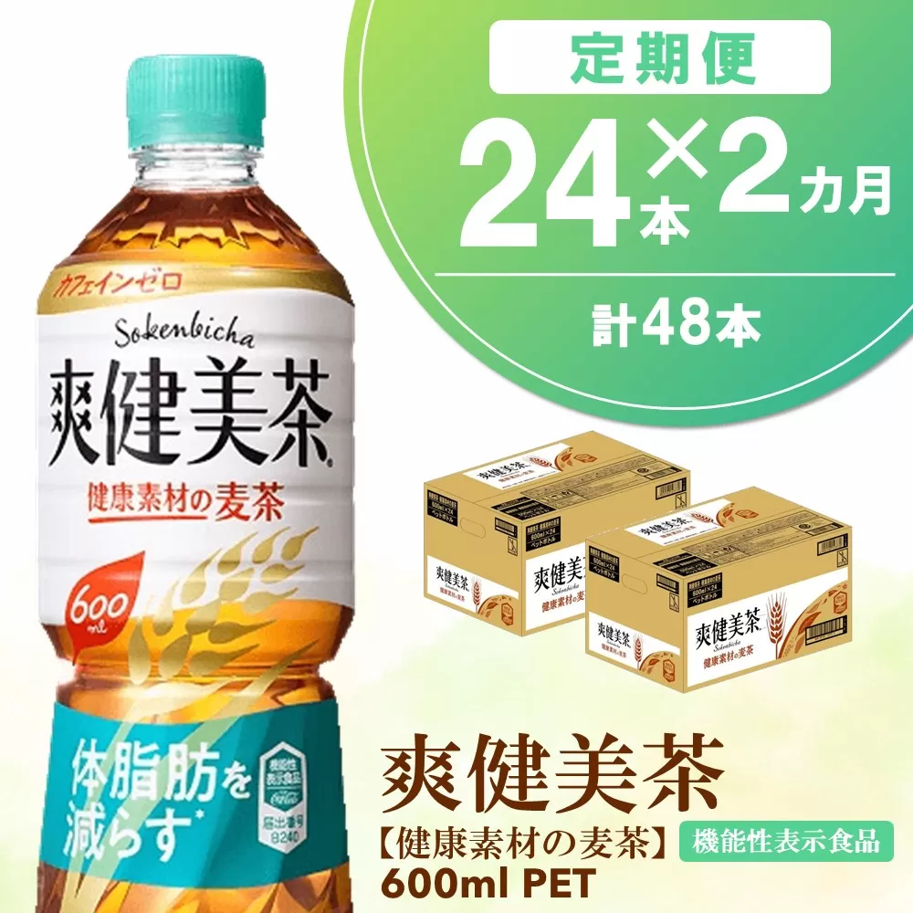 【2カ月定期便】爽健美茶 健康素材の麦茶 600mlPET×24本(合計2ケース)【機能性表示食品】【コカコーラ ローズヒップ 定期便 脂肪 健康的 おいしい 飲みやすい ポリフェノール 機能性表示食品】B3-E090370