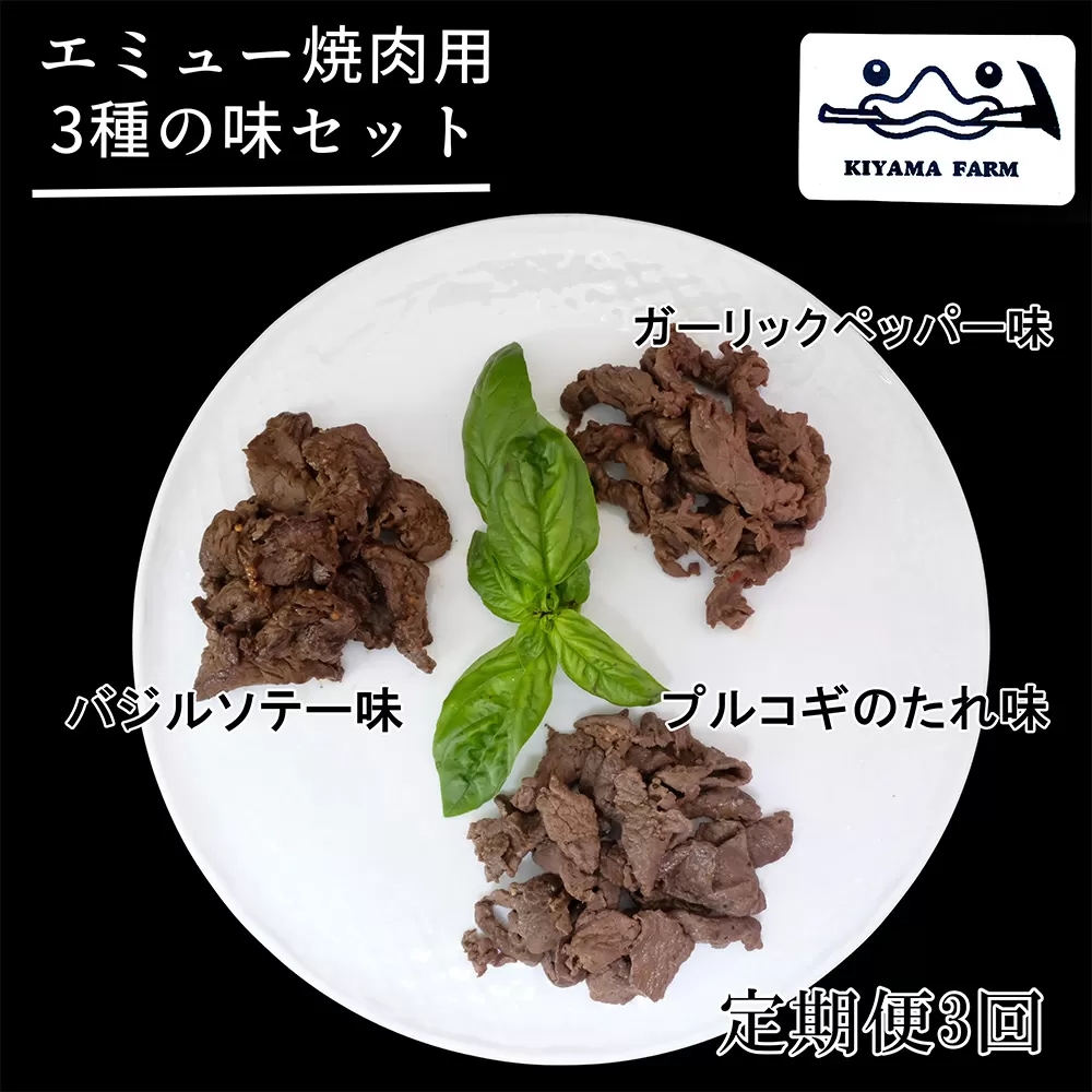 【3か月定期便】エミュー焼肉用3種の味セット【エミュー 基山産 高タンパク 高鉄分 低カロリー ヘルシー ジビエ 貴重肉 鉄分補給】C9-E006301