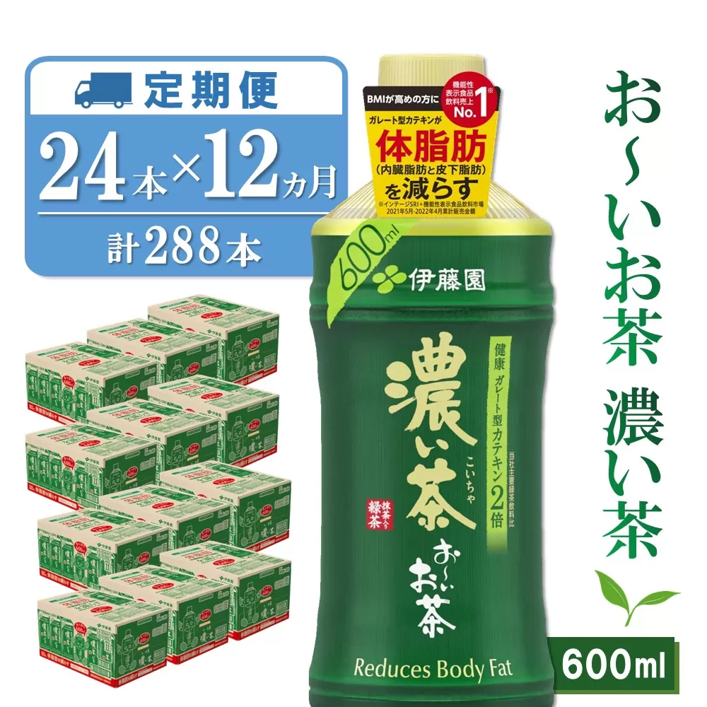 【12か月定期便】おーいお茶濃い茶 600ml×24本(合計12ケース)【伊藤園 お茶 緑茶 濃い 渋み まとめ買い 箱買い ケース買い カテキン 2倍 体脂肪】 J04-E071326