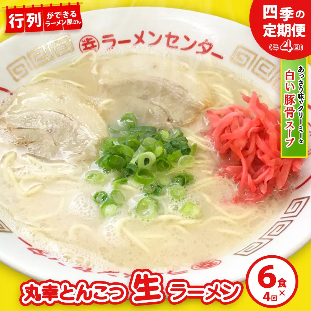 【年4回 四季の定期便】丸幸ラーメン(とんこつ生) 6食入り【ラーメン 生ラーメン とんこつ 豚骨スープ 九州とんこつ あっさり 行列】E4-E015305