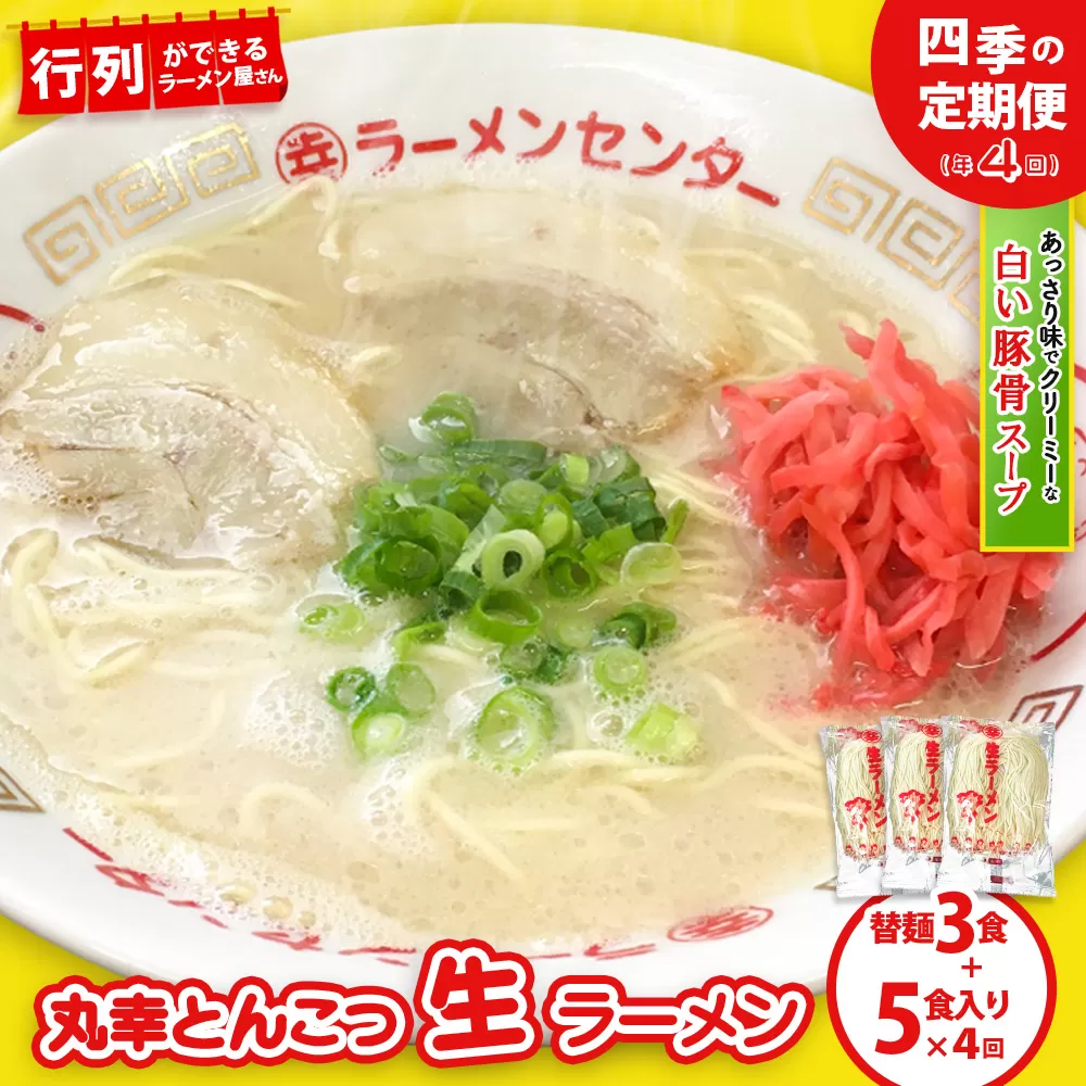 【年4回 四季の定期便】丸幸ラーメン(とんこつ生) 5食＋替麺3食のセット【ラーメン 生ラーメン とんこつ 豚骨スープ 九州とんこつ 替麺 替え玉 おかわり あっさり 行列】E3-E015302