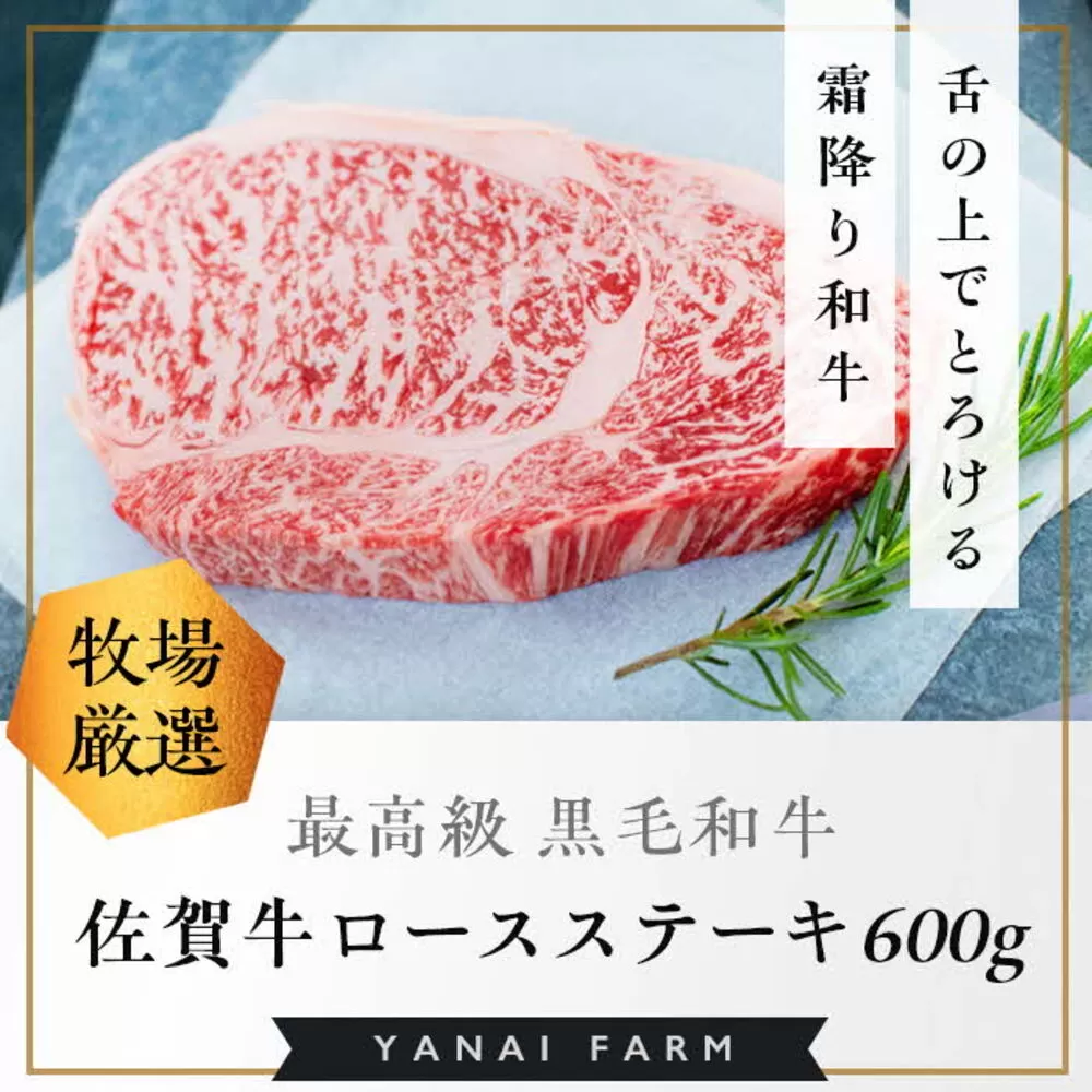 《佐賀牛》「梁井」霜降りロースステーキ 3枚 600g【佐賀牛 霜降り肉 ロース肉 サシ ステーキ 肉汁 とろける やわらか 美味しい ブランド肉】C-E081011