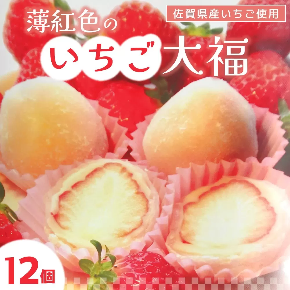 薄紅色のいちご大福[季節限定 いちご 大福 白あん お餅 和菓子 12個 佐賀県産