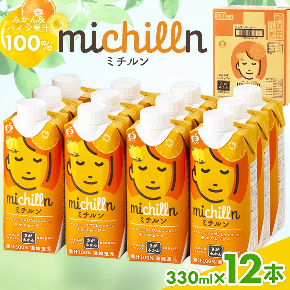 サンレイ ミチルン【チルスムージー みかんジュース パインジュース 100％ 濃厚 朝食 お風呂上り ふるさと納税 お土産 ギフト 】A1-E012024