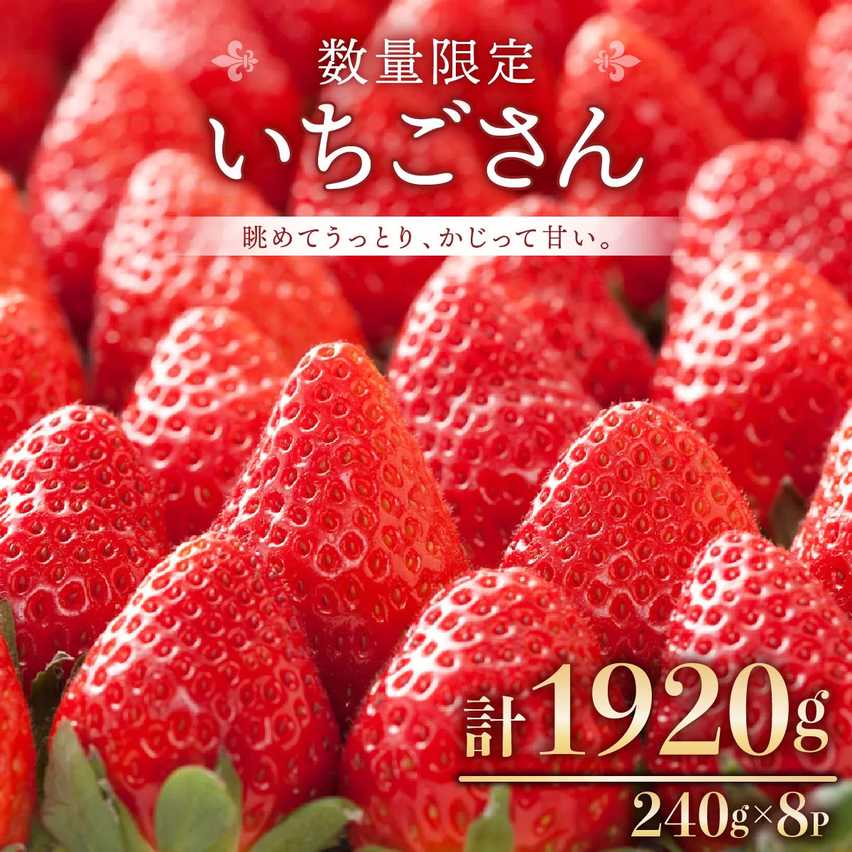 《先行予約》☆赤い宝石☆ 佐賀県産 いちごさん 240g×8p