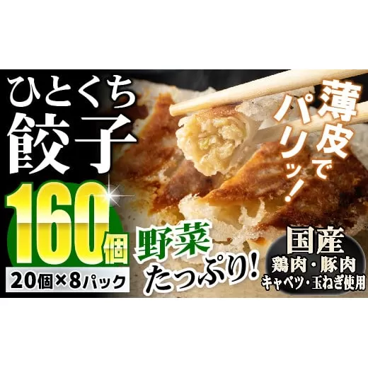 【野菜たっぷりヘルシー♪】一口ぎょうざ160個セット  B-636　【上峰町ふるさと納税】