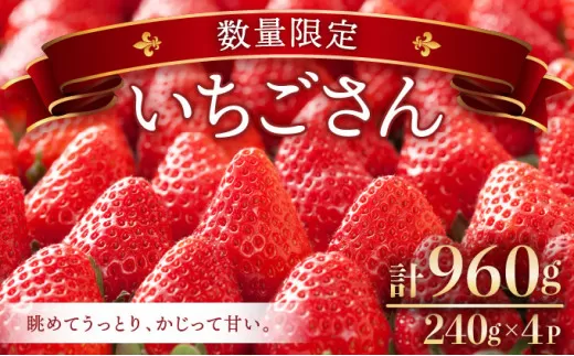 《先行予約》佐賀県産いちご「いちごさん」240g×4P 計960g! B-1080-AS