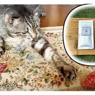 FB103  猫用☆天然100％無添加・ 無農薬またたびパウダー＆蹴りぐるみ1個