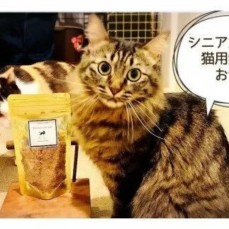 FB138　 シニア犬＆幼犬＆猫用の無添加おやつ☆ふわふわ天然いのししフレーク4個