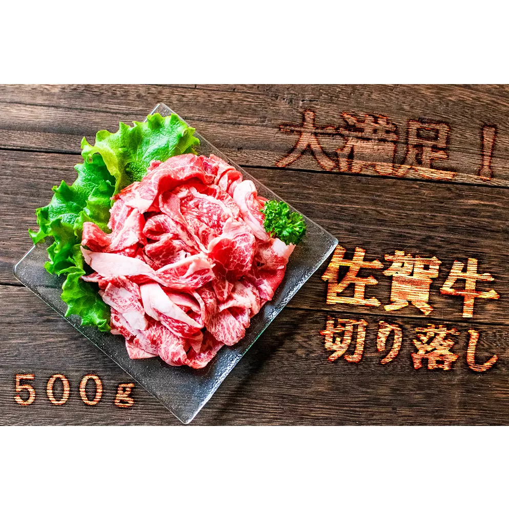 FK027_【佐賀のお肉をご家庭に！】佐賀牛切り落とし500g