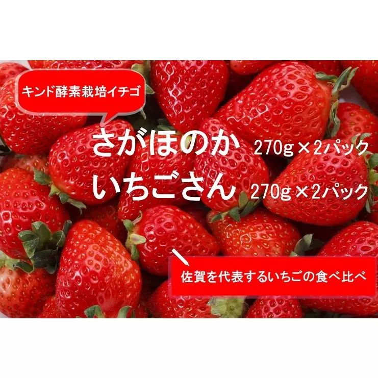 AE028_あま～い！！キンド酵素栽培いちご 【さがほのか２７０ｇ×２パック・いちごさん２７０ｇ×２パック】数量限定！！