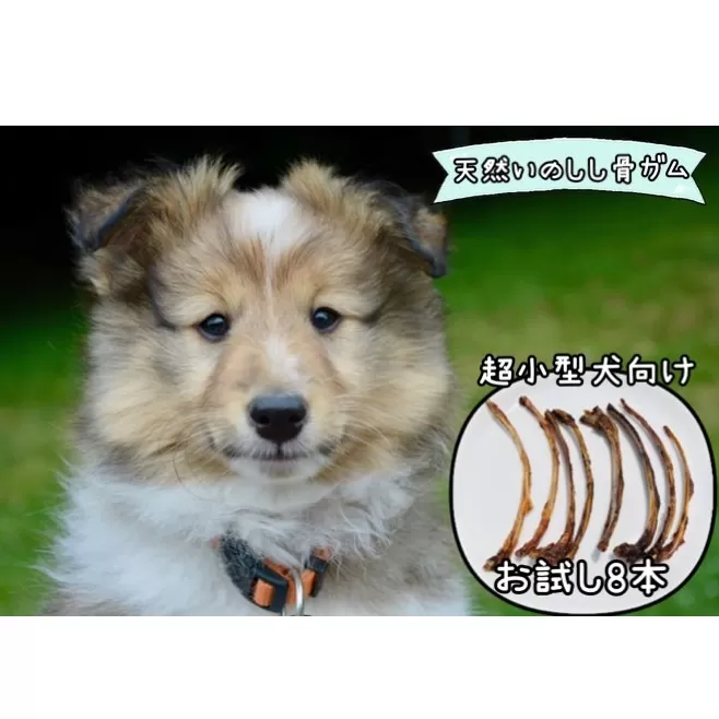 FB129_【お試し8本】超小型犬向け☆天然いのししのスモーク骨ガム(極細）