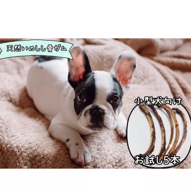 FB130_【お試し5本】小型犬向け☆天然いのししのスモーク骨ガム(細）