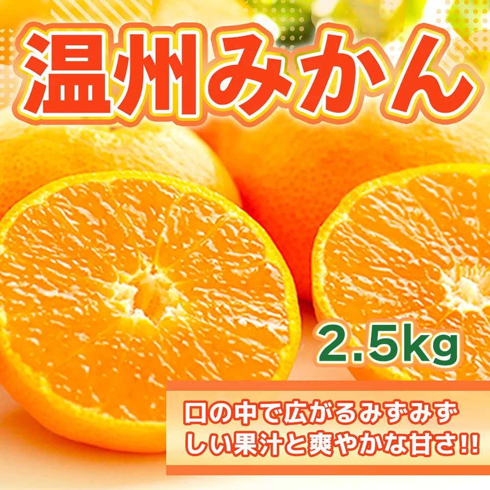 DY122_佐賀県産 温州みかん 合計2.5ｋｇ 2S～2Lサイズ