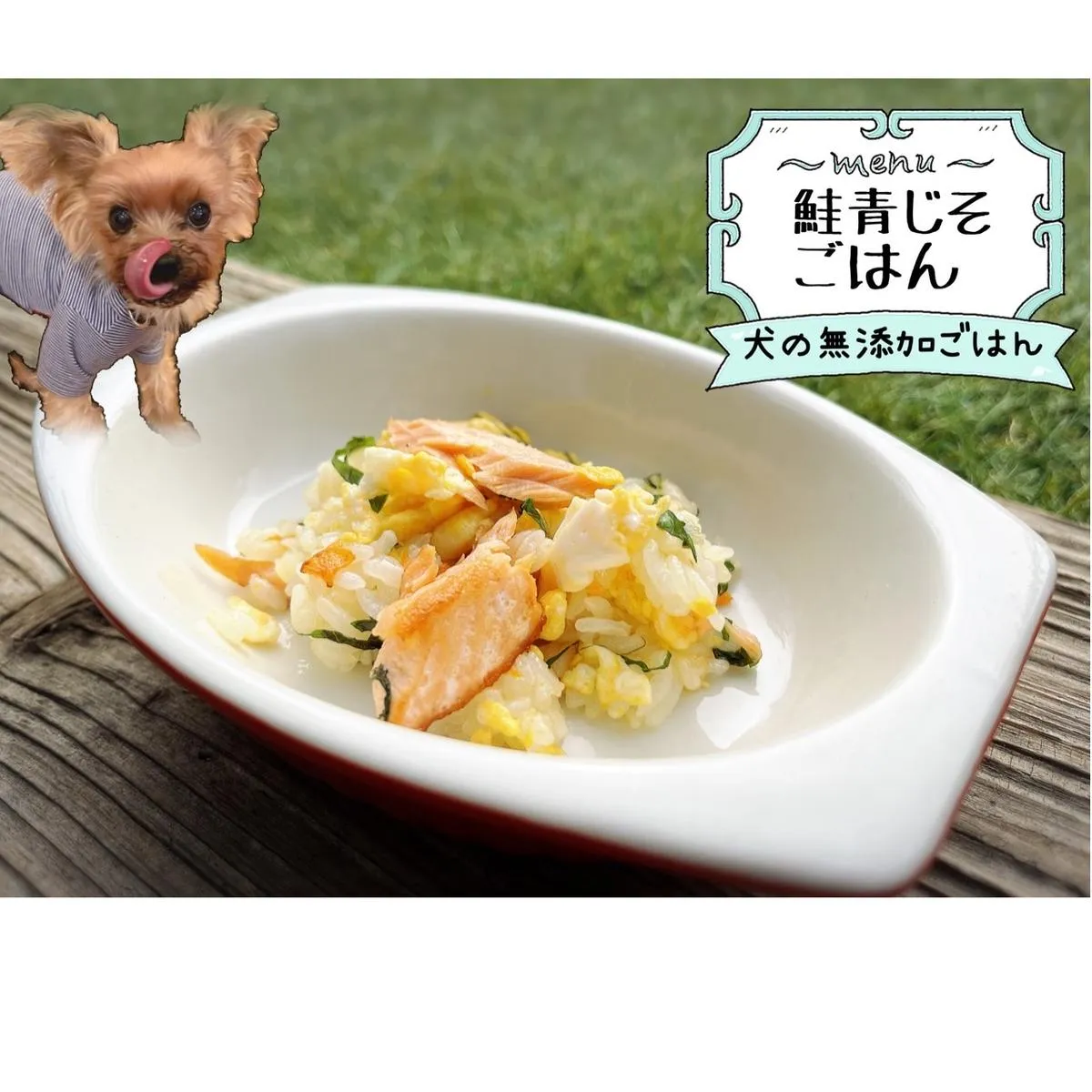 FB156_犬の無添加手づくりごはん☆鮭青じそごはん