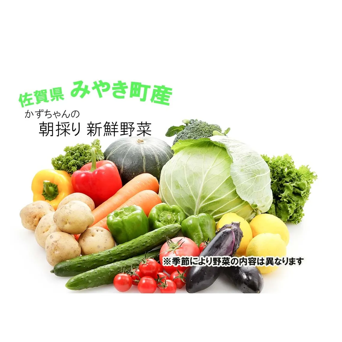 CC001_かずちゃんの朝採り新鮮野菜セット【みやき町産朝採り野菜をお届け】