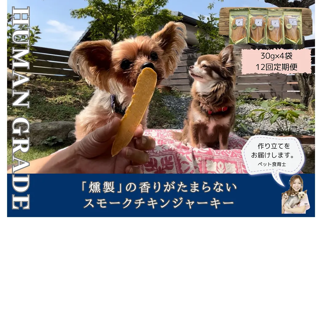 FB152　 犬の無添加おやつ☆燻製の香りがたまらないスモークチキンジャーキー【12回定期便】