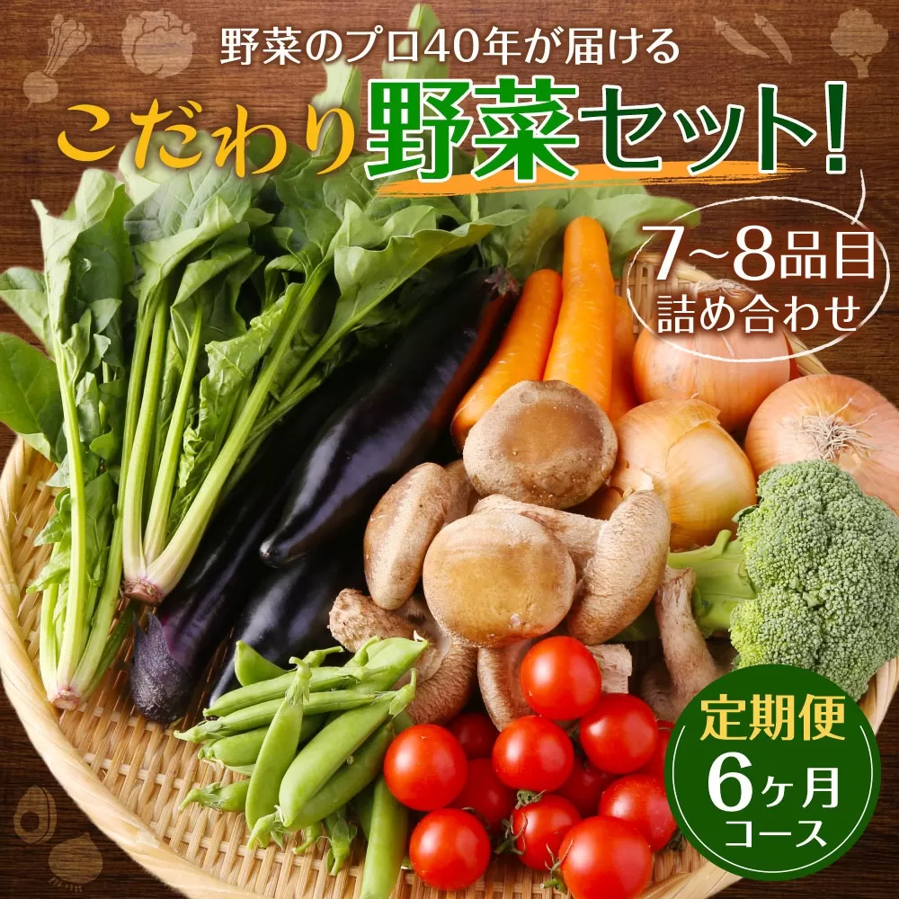 【定期便 6ヶ月コース】野菜のプロ40年が届けるこだわり野菜セット！ 7〜8品目 詰め合わせ