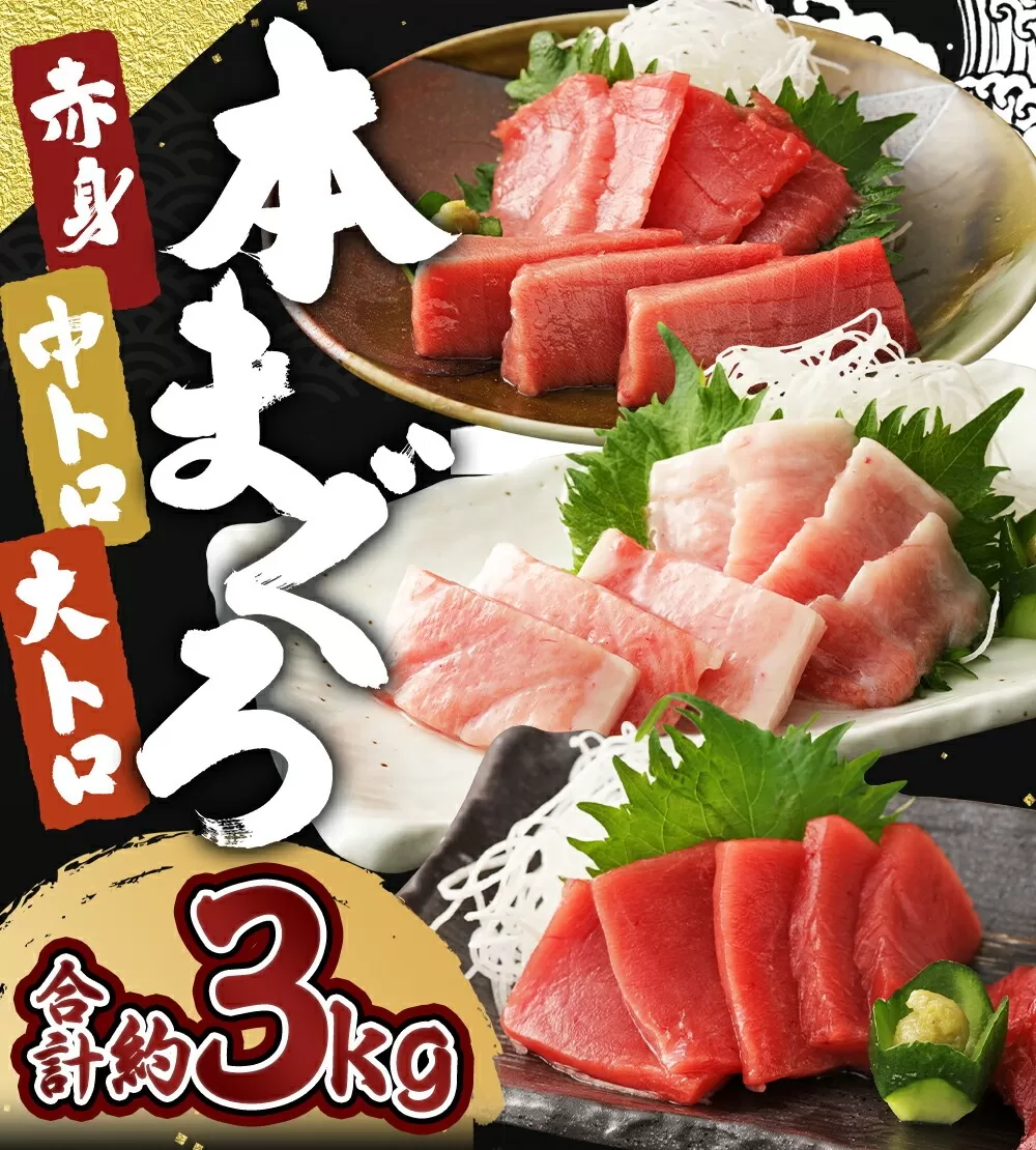 長崎県産 本マグロ3種盛り「大トロ・中トロ・赤身」約3kg【大村湾漁業協同組合】