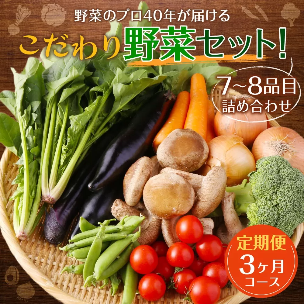 【定期便 3ヶ月コース】 野菜のプロ40年が届けるこだわり野菜セット！ 7〜8品目 詰め合わせ