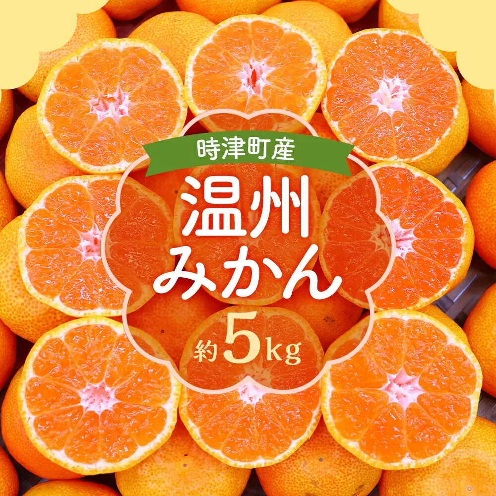 時津町特産 温州みかん 約5kg 糖度が高くなる時期のみお届け！【時期厳選】【2024年12月上旬～2025年1月下旬迄発送予定】