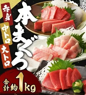 長崎県産 本マグロ3種盛り「大トロ・中トロ・赤身」約1.0kg【大村湾漁業協同組合】