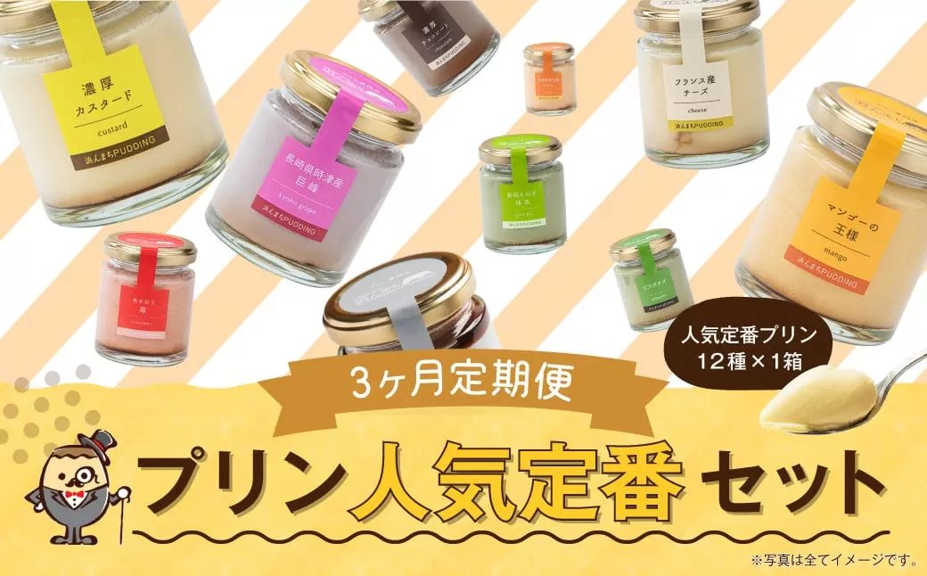 【3回定期便】 浜んまちPUDDING プリンづくし 12種類 詰め合わせ （通常紙箱） スイーツ お菓子 おやつ