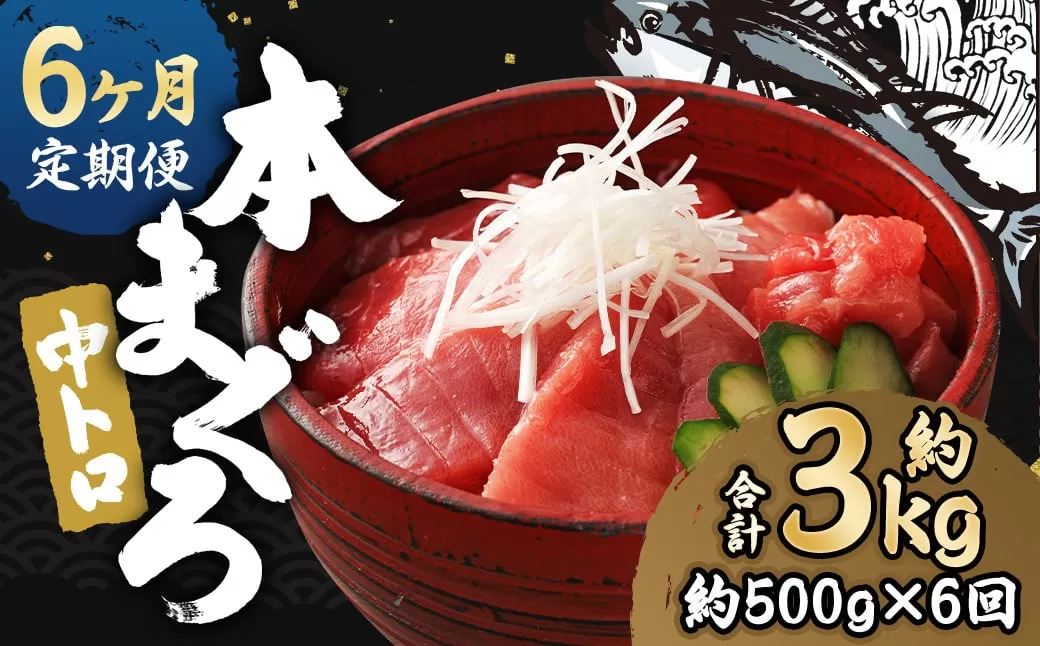 【6ヶ月定期便】 長崎県産 本マグロ「中トロ」約500g【大村湾漁業協同組合】